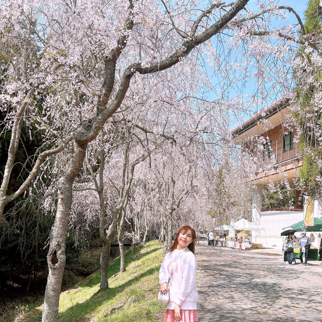 広島県　世羅　甲山ふれあいの里