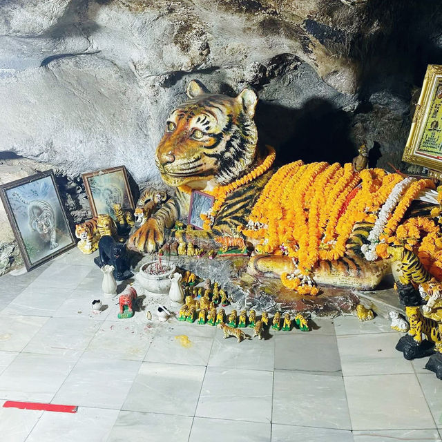 Wat Tham Sua, Tiger Cave Temple @ Krabi 🇹🇭