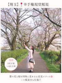 お花見桜スポット16選🌸【関東編】