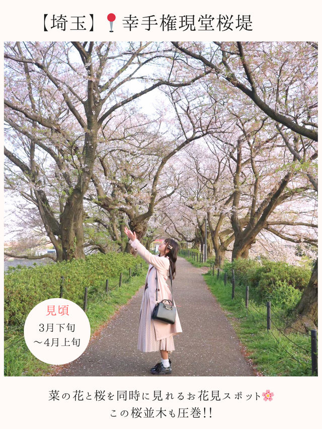 お花見桜スポット16選🌸【関東編】