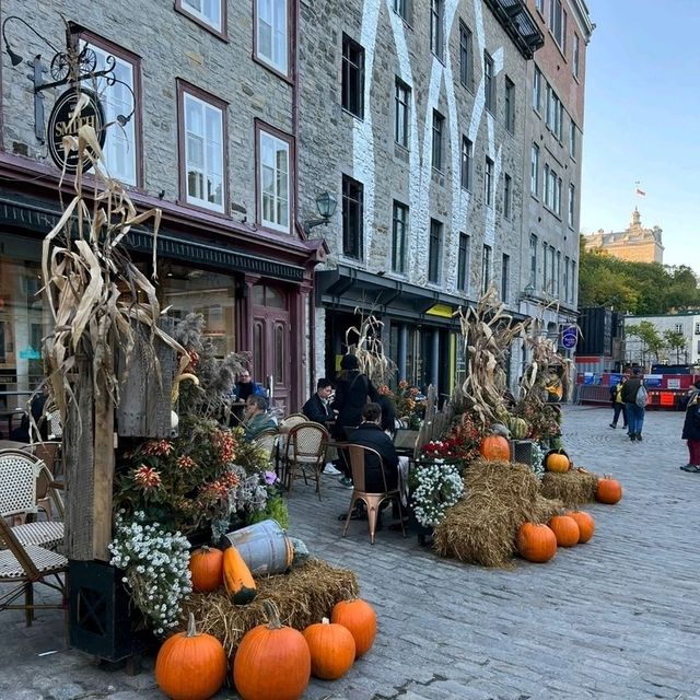 🌸❣️Montreal Film Location spotting