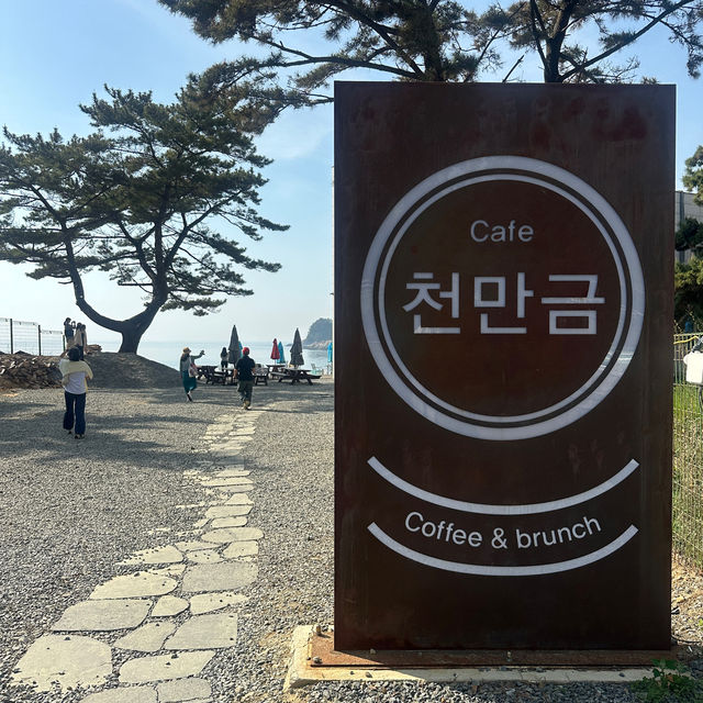 태안 만리포해수욕장 오션뷰카페 천만금