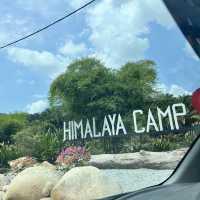 Reasonable Glamping Himalaya Camp