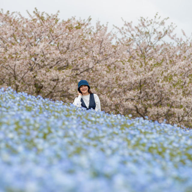 Uminonakamichi Seaside park