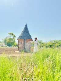【神奈川/平塚】富士山がみえるガーデン