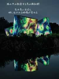 【大阪】自然とART 野外ミュージアム チームラボ🌳ボタニカルガーデン🌳