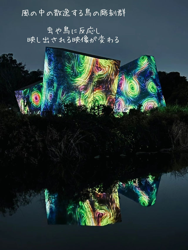 【大阪】自然とART 野外ミュージアム チームラボ🌳ボタニカルガーデン🌳