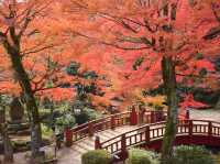 熱海梅園の紅葉