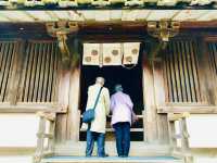 Horyuji stands as one of the nation’s oldest temples 🇯🇵
