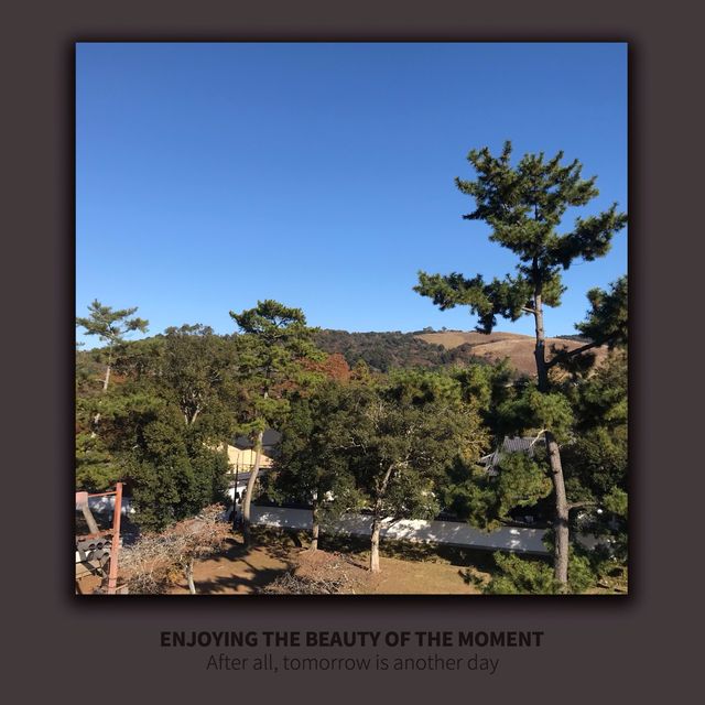 奈良公園景點懶人包💕