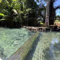 เที่ยวคลองน้ำใส พายเรือคายัค สัมผัสธรรมชาติ