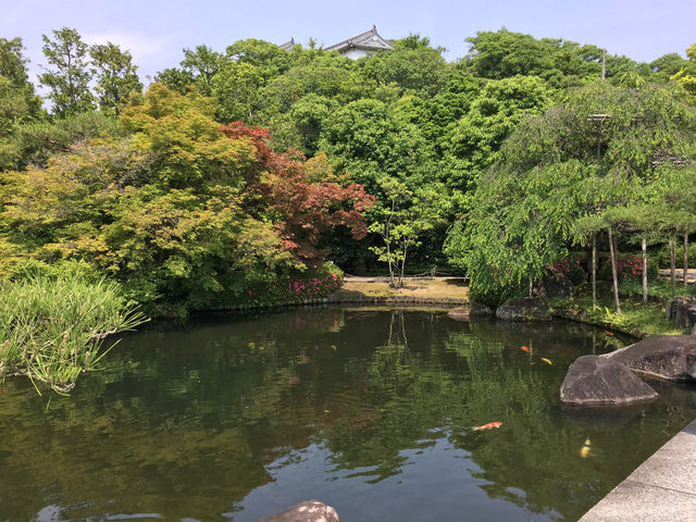 悠然漫步好古園：姬路城的靜謐之美