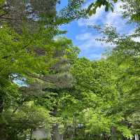 「與儀公園」：自然與文化交融，尋求片刻遠離塵囂的休憩場所