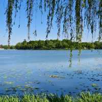 「白登河濕地公園：春季賞花，戶外活動的絕佳去處」