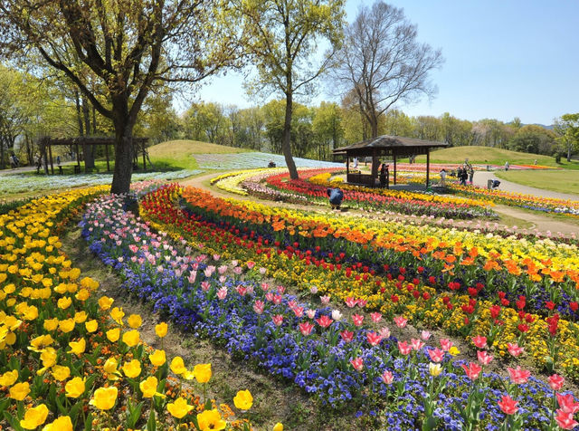 國營讚岐滿濃公園 