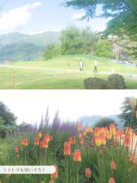 【 山梨 / 河口湖 】湖畔にある公園であじさいとラベンダーと富士山が楽しめる🪻🗻