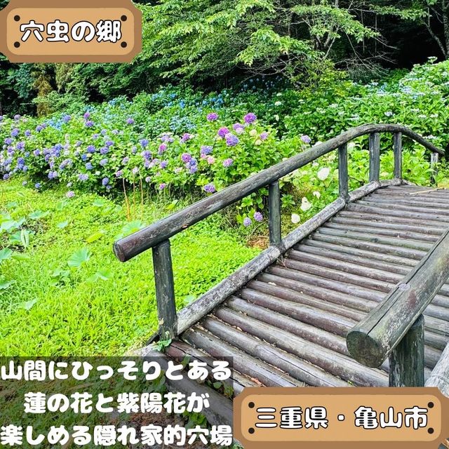 穴虫の郷
