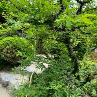「清水觀音堂」- 神聖莊嚴的建築藝術與寧靜祥和的庭園景緻，探索東京神道文化的重要目的地