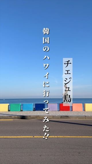 【韓国】韓国のハワイと呼ばれるチェジュ島🏝️