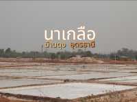 ชมการทำนาเกลือ ที่บ้านดุง