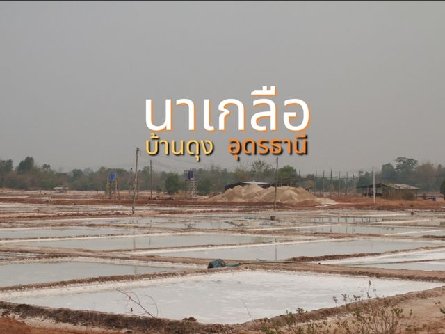 ชมการทำนาเกลือ ที่บ้านดุง
