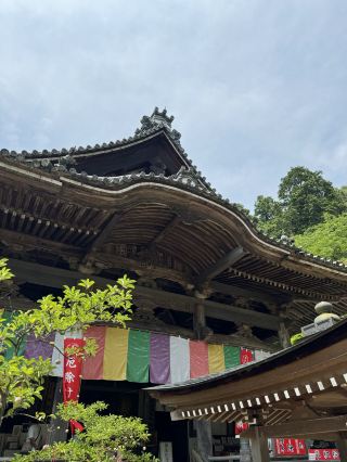 【奈良】以花手水聞名的古剎