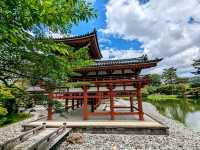日本京都-世界文化遺產：宇治平等院
