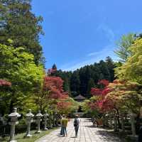 高野山金剛峯寺を訪れました！