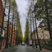 上海最浪漫的馬路甜愛路