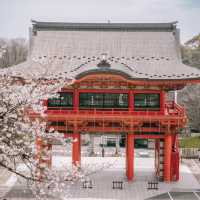 เที่ยวเมืองไวบ์เอโดะ อินุยามะ (Inuyama)🎎
