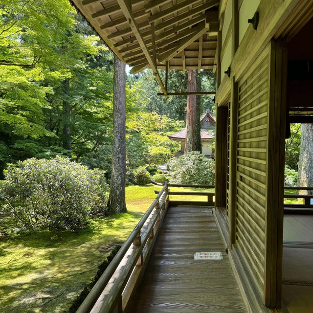 「法海寺」- 古老寺院，體驗日本傳統文化