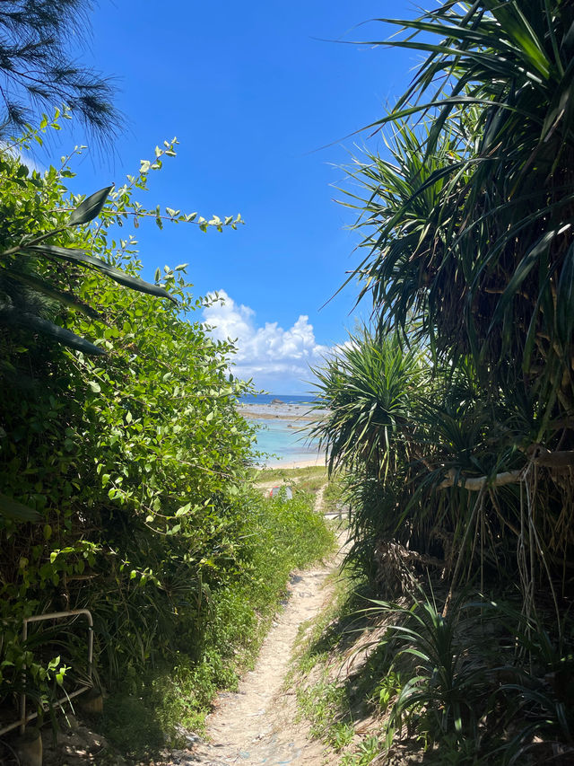 奄美大島　定番観光スポット土盛海岸🌊