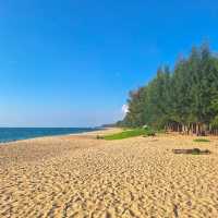 จุดชมเครื่องบินสุดฮิต “หาดไม้ขาว”✈️