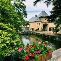 Step into History: Château de Vizille's Regal Charm