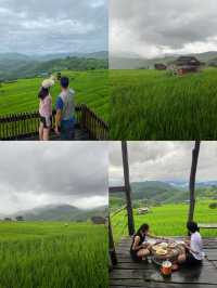 ที่พักป่าบงเปียง | เชียงใหม่ 🏡⛰️🌧️🌾