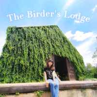 The Birder's Lodge Cafe คาเฟ่เขาใหญ่สุดฮ็อต