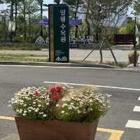 《水原》 あの大ヒットドラマの撮影地！일월수목원　💐