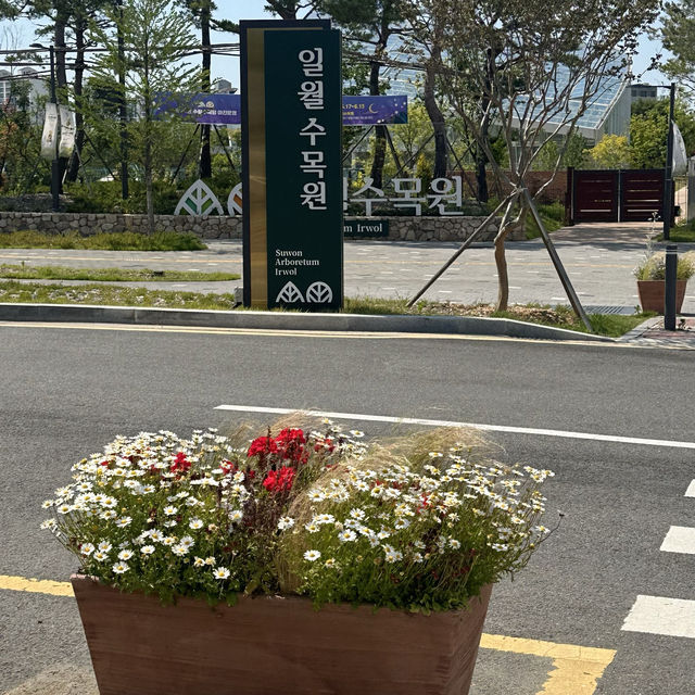 《水原》 あの大ヒットドラマの撮影地！일월수목원　💐