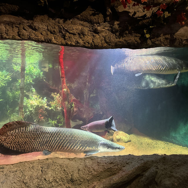 Aquarium Vinpreal Nha Trang