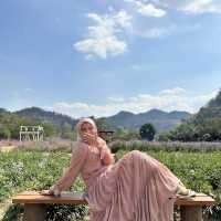 HIDDEN GEM, 3-hours from Bangkok 💎 