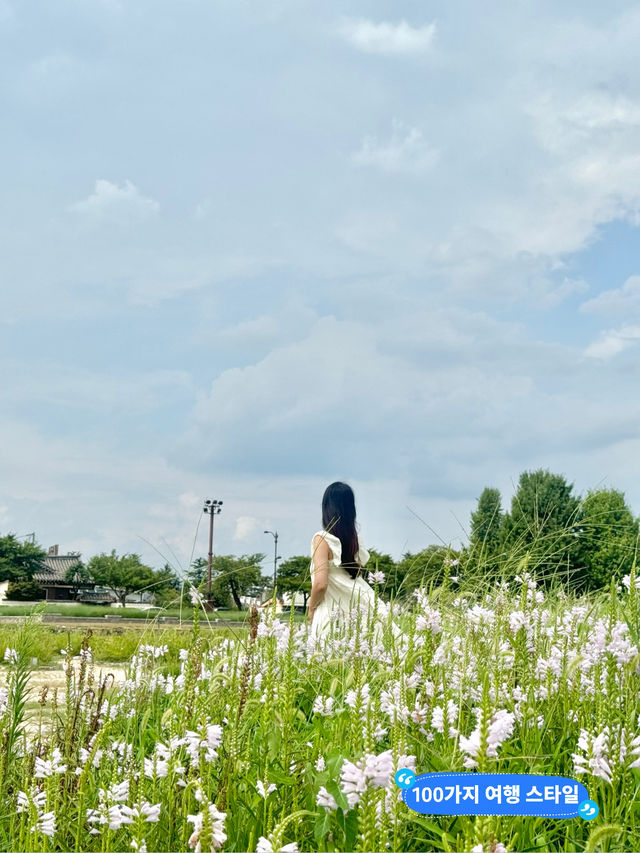 그림같은 풍경 경주 여행 필수코스 첨성대 