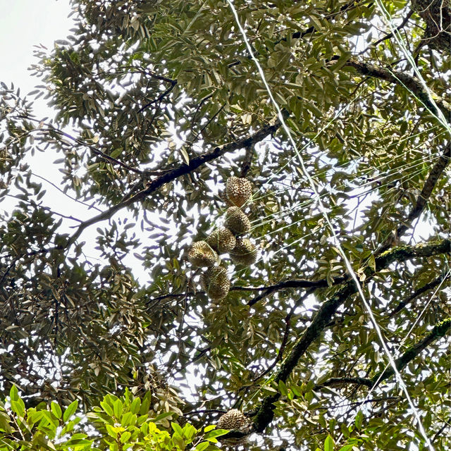 檳城之行:一段充滿人情味之旅行 檳城之行:一段充滿人情味之旅行