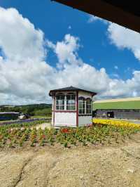 【北海道:上富良野】一度は食べたい！北海道夏グルメ！！