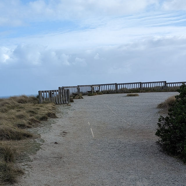 Stunning Vistas from Pyramid Rock Lookout