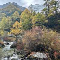 ⌊ Yading Nature Reserve, Daocheng, Sichuan, China⌉
