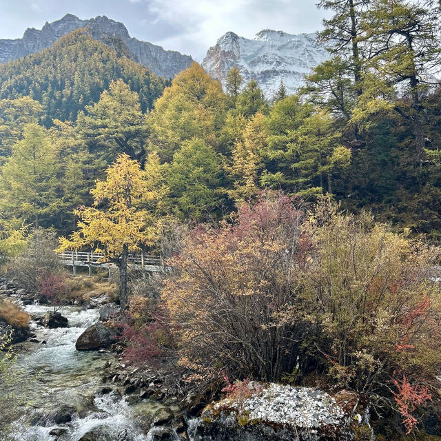 ⌊ Yading Nature Reserve, Daocheng, Sichuan, China⌉