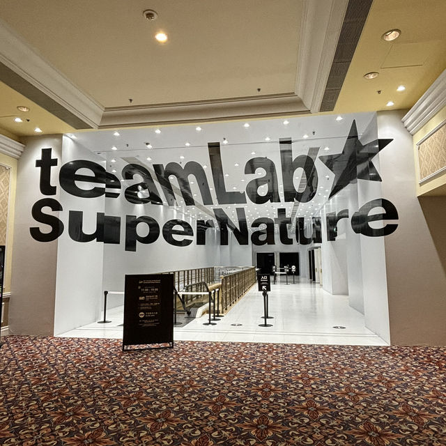 澳門威尼斯人teamLab超自然空間：科技藝術奇幻世界