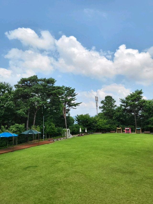 유럽수국 만개한 무료입장 동화마을