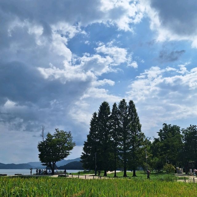 양평 세미원