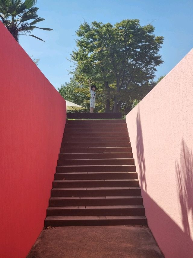 알록달록 멕시코 여행